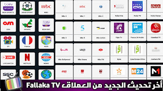تحميل تطبيق Fallaka TV فلاكة تيفي APK أخر تحديث 2026 لمشاهدة المباريات والقنوات التلفاز للأندرويد