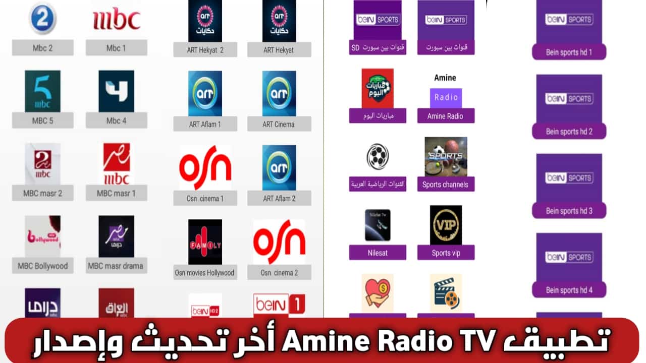تحميل تطبيق Amine Radio TV للاندرويد APK أخر اصدار 2026 مجاناً لمشاهدة قنوات واستماع إلى محطات الراديو