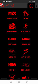 Screenshot 20201215 131446 nigeria.newstv